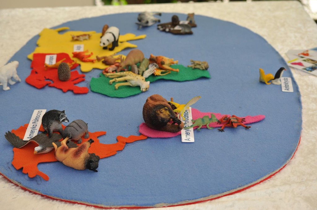 Para Miast Leżące Na Roznych Kontynentach Zwierzęta na kontynentach – Inspiracje edukacyjne